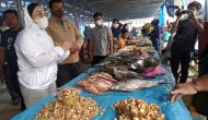 Permalink ke Sutinah Sambangi Nelayan di TPI Kasiwa