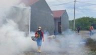 Permalink ke Atasi Meningkatnya Penderita DBD, Dinkes Mamuju Lakukan Penyemprotan