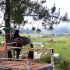 Permalink ke Farid Wajdi: Tingkatkan Kunjungan Wisatawan, Maksimalkan Promosi Wisata