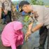 Permalink ke Tanam 6.700 Pohon Mangrove, Wakapolda Sulbar; Selain Untuk Penghijauan Juga Untuk Cegah Bencana
